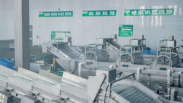 388vip太阳集团·生产工艺