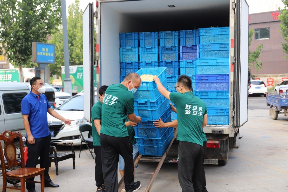 抗击疫情 爱心企业捐赠50万斤芽苗菜