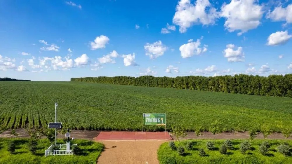 【河南日报农村版报道】388vip太阳集团如何用14年把一颗小豆芽种成民生大事业