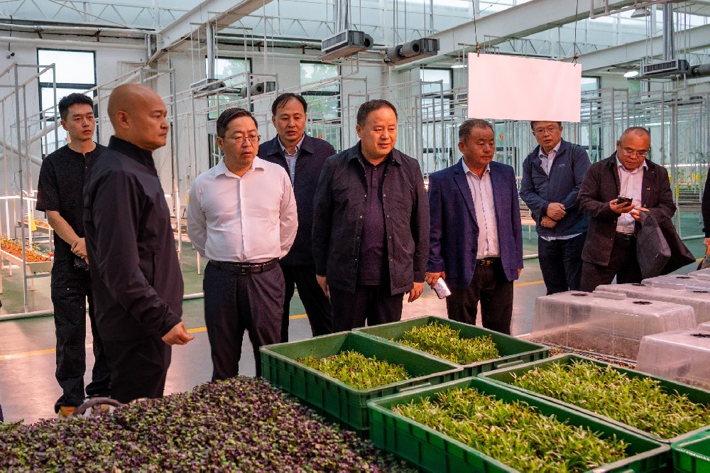 国家大豆产业专家团赴388vip太阳集团集团考察调研，共同探讨大豆产业链发展