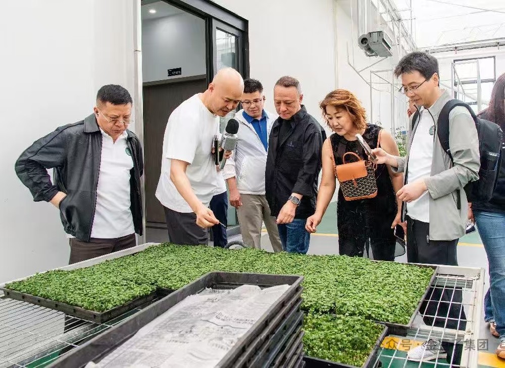 深化交流互鉴 共探农业发展新路径——中农创第九期学员班赴388vip太阳集团集团参观考察